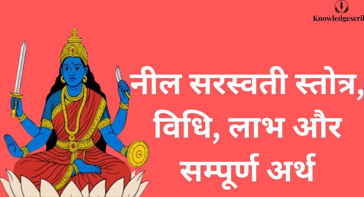 नील सरस्वती स्तोत्र